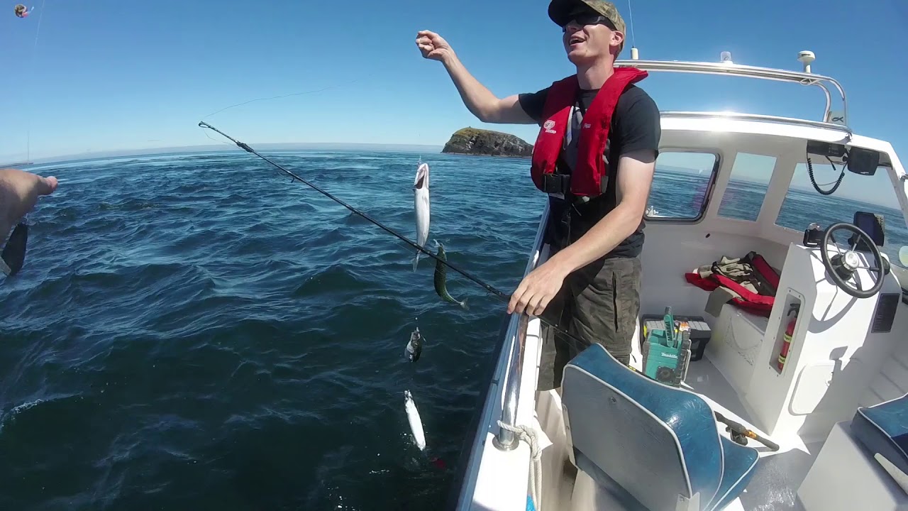 Sport Fishing Orkney Island Scotland - YouTube