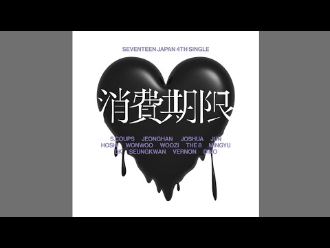SEVENTEEN  powercircles 势界 SEVENTEEN Collection on X: 