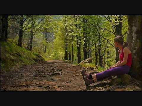 Somewhere nicer- Obi acordes