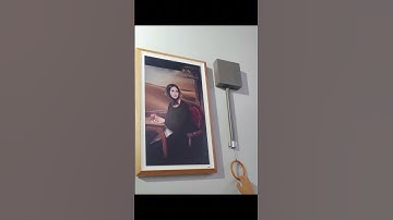 Innovative Interactive Art Installation: Merging Digital Art and Mechanical Wonders