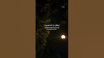 عودة إلى القرآن الكريم 🤍 #قرآن #ذكر #تدبر_القرآن #توبة