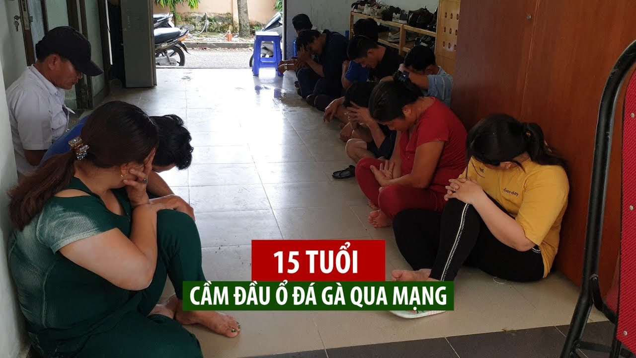 Thiếu niên 15 tuổi cầm đầu ổ đá gà qua mạng