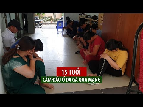 Video Thiếu niên 15 tuổi cầm đầu ổ đá gà qua mạng 