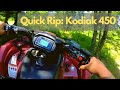 Quick Rip / Trail Ride:  2020 Yamaha Kodiak 450 EPS