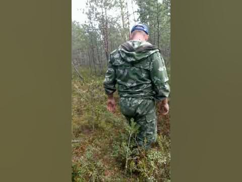 первая кедровая шишка ))) - YouTube