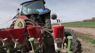 Semis de betteraves 2021