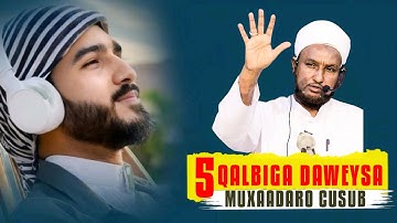 5 QALBIGA DAWEEYSA MUXAADARO CUSUB IYO QISOOYIN CAJIIB AH SHEEKH XUSEEN CALI JABUUTI 2025