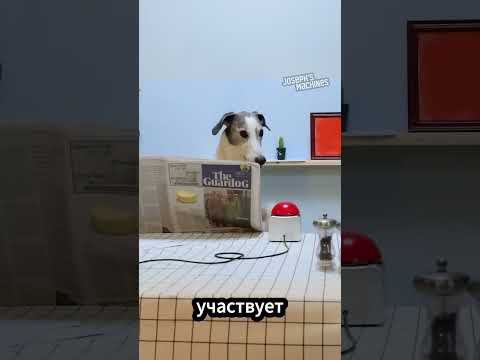 Этот бедный мальчик был голоден, и он помог ему ❤️ #short