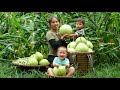 Harvesting gourds go to the market to sell  prepare dishes from gourds to eat with your children