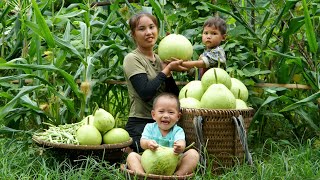 Harvesting gourds Go to the market to sell & Prepare dishes from gourds to eat with your children