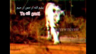 story wa macan putih. ya Allah paringi kulo sabar