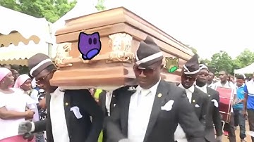 DDNet meets Coffin Dance