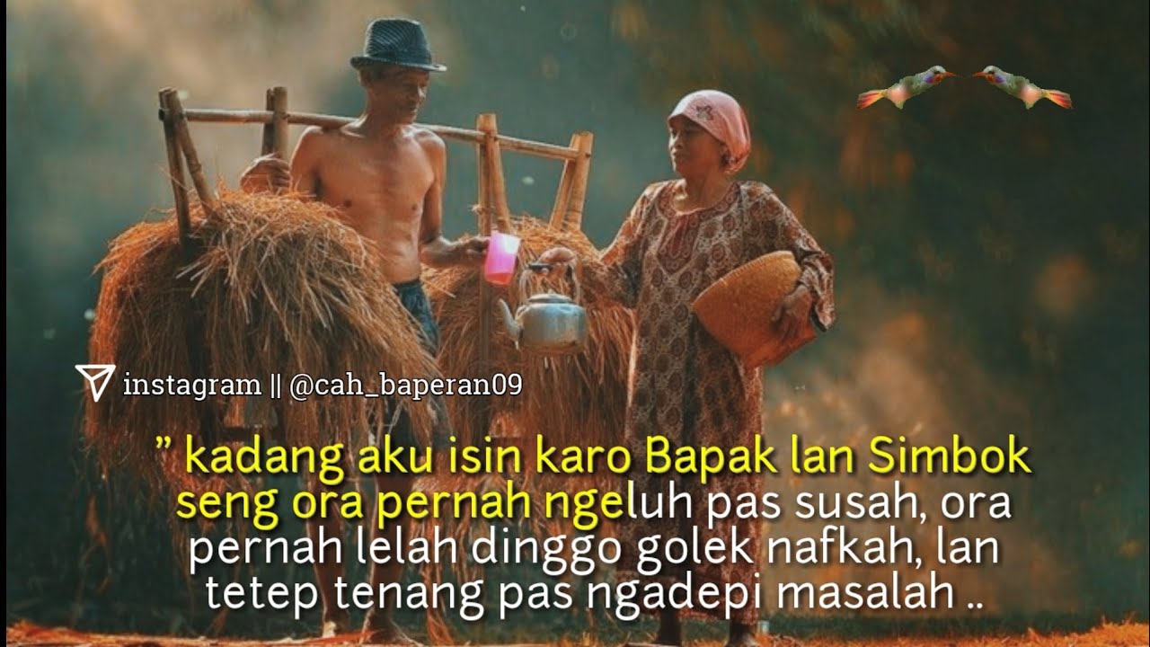 Story Wa Terbaru 2019 Renungan Pagi Kata Bijak Jawa Youtube