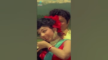 MGR 70s Love Song | Netru Indru Naalai | T.M.S, P. Susheela #shorts #music #song