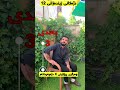 زیندەزانی١٢ دژەکان بزانە بۆ وزاری گرنگە