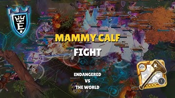 ENDANGERED vs DARKMIGHT + Alliance vs [BOBER] vs [NME] | Caller POV | Albion Online ZvZ