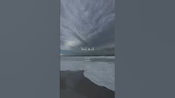 سورة الحشر بصوت القارئ علي جابر listen to Surat  Al -Hashr read by Ail Jaber