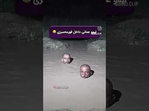 لیمو عمانی داخل قورمه سبزی