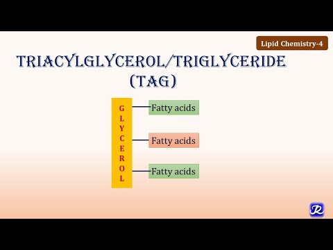 4: Triacylglycerol/ Triglycerides | Lipid Chemistry-4 | Biochemistry | N&rsquo;JOY Biochemistry