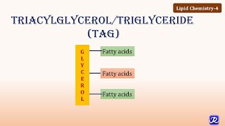 4: Triacylglycerol/ Triglycerides | Lipid Chemistry-4 | Biochemistry | N'JOY Biochemistry