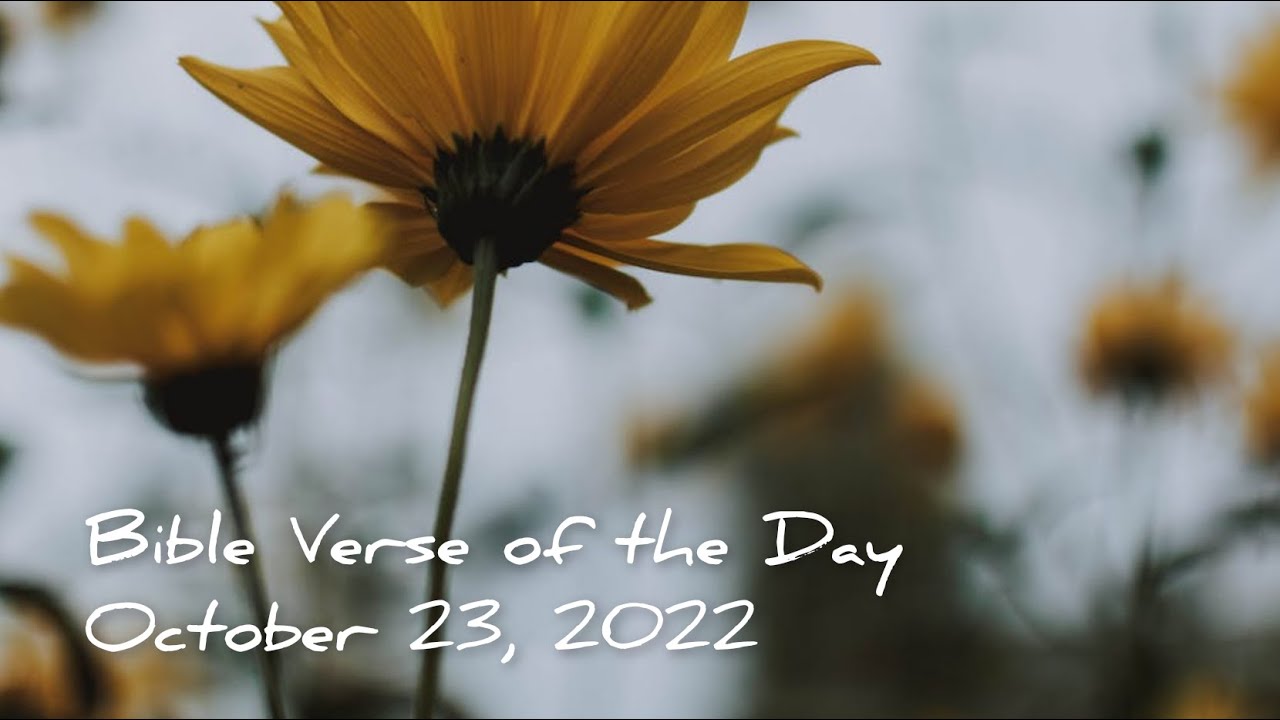 BIBLE VERSE OF THE DAY October 23, 2022 morning prayer Your Daily
