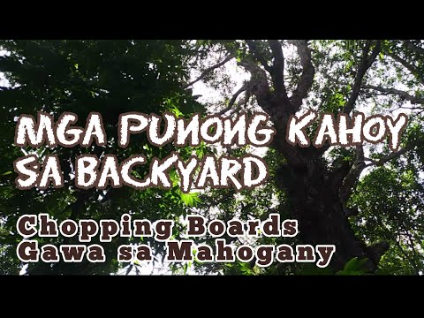 Video: Round Timber: Bilog Na Timber Mula Sa Pine At Oak, Mula Sa Larch, Birch At Iba Pa. Ano Ito At Ano Ang Kapal? GOST