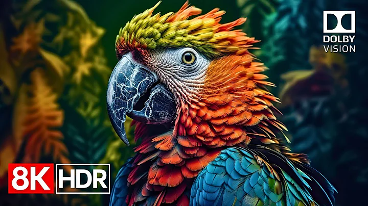 Unreal HDR Quality – 8K Dolby Vision Demo (4K / 8K TV) 60fps