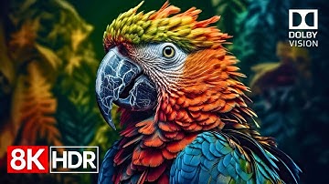 Unreal HDR Quality – 8K Dolby Vision Demo (4K / 8K TV) 60fps