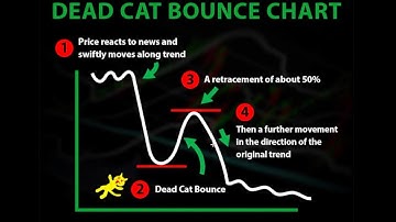 BITCOIN: DON‘T GET FOOLED!!! DEAD CAT BOUNCE CHART !!!