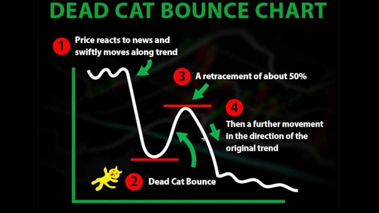 dead cat bounce bitcoin