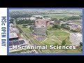 Passionate about livestock and companion animals study msc animal sciences  wurtube