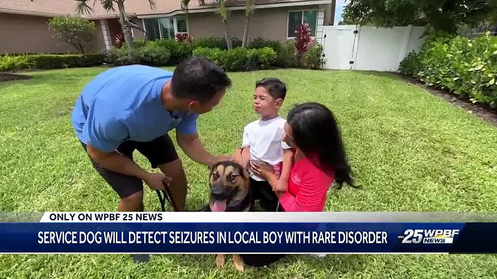 Rescue dog being trained to detect seizures in Palm Beach County 4-year-old