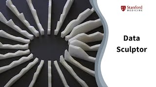 Celebrity Data Sculptor: Stanford professor creates art from the numbers. Net Worth