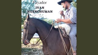 Video thumbnail of "Payador Ivan Huenchuman - Siempre Juntos"