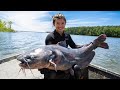 CATFISH NOODLING! Hannah Catches her Biggest Blue Cat EVER at 61 Pounds!!