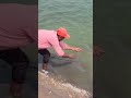 Krishna River 🎣 Fish Hunting #shorts#youtubeshorts#shortvideos#