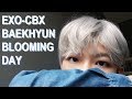 EXO-CBX Baekhyun | Blooming Day Makeup Tutorial