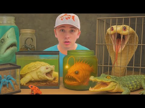 Comprei os animais mais perigosos do mundo...