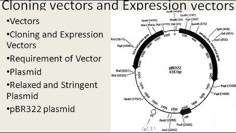 Difference between Cloning and Expression Vectors Part  1 | For B.Sc. and M.Sc.|ALL ABOUT BIOLOGY