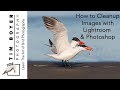 How to Cleanup Images In Lightroom and Photoshop