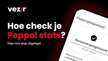 Hoe check je je Peppol status?