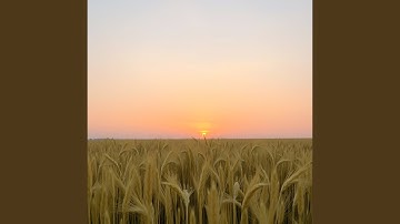 Every Step, a Statement