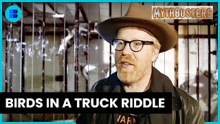 Flying Birds, Lighter Truck? - Mythbusters - S04 EP09 - Science Documentary