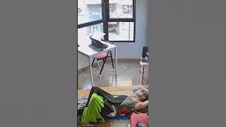 Sleep Stream 7/8/2025 #hrsleep #schlaf #live #livestream #sleeping #sleepstreaming #stream