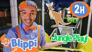 Blippi's Uptown Jungle Bounce Park! | Animals for Kids | Funny Cartoons | Learn about Animals