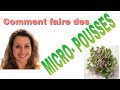 COMMENT FAIRE DES MICRO-POUSSES - Éco trucs