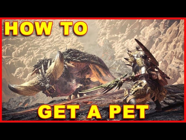 Monster Hunter: World - How to Catch Pets For Your Home - Gameranx