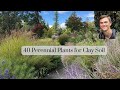 40 perennial plants for clay soil in the garden