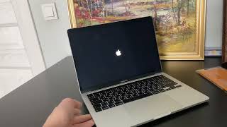 BSOD на MacBook Pro