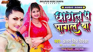 #Antra Singh Priyanka เคเคพ เคธเคฌเคธเฅ เคนเคฟเค เคเคพเคจเคพ - Chhagal Pa Pagal Ba - เคเคพเคเคฒ เคช เคชเคพเคเคฒ เคฌเคพ - #Bhojpuri Songs 2020